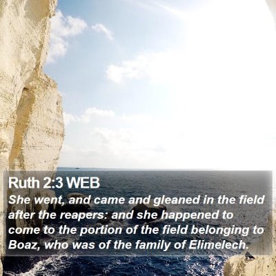 Ruth 2:3 WEB Bible Verse Image