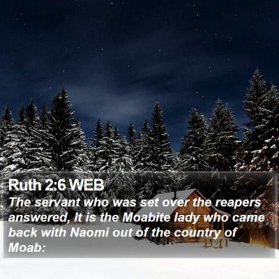 Ruth 2:6 WEB Bible Verse Image