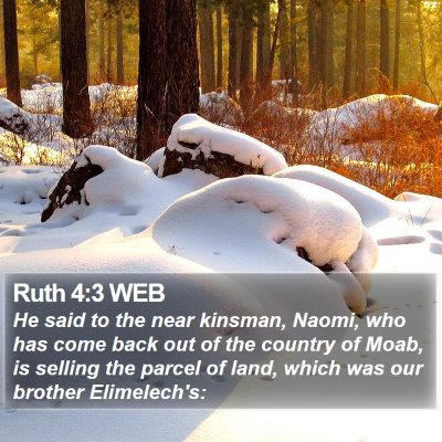 Ruth 4:3 WEB Bible Verse Image