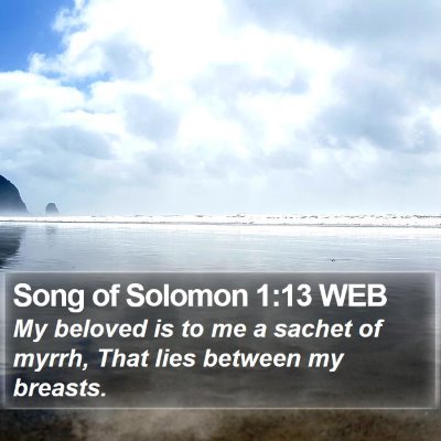 Song of Solomon 1:13 WEB Bible Verse Image