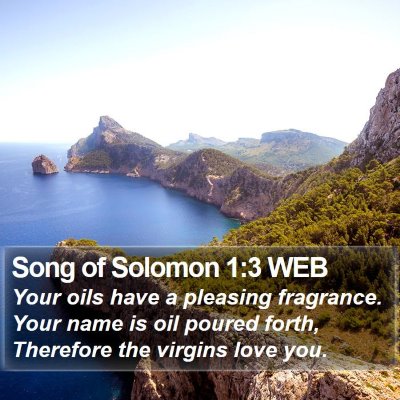 Song of Solomon 1:3 WEB Bible Verse Image