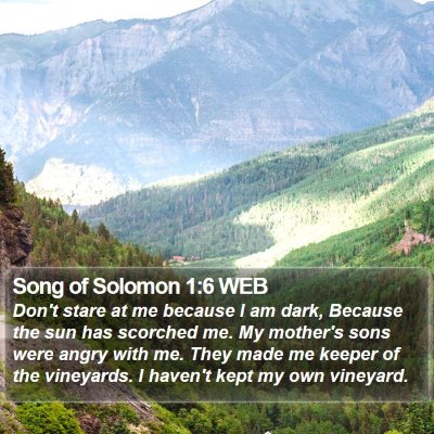 Song of Solomon 1:6 WEB Bible Verse Image