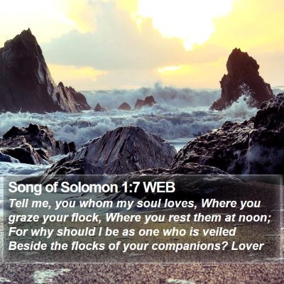 Song of Solomon 1:7 WEB Bible Verse Image