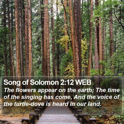 Song of Solomon 2:12 WEB Bible Verse Image