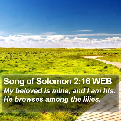 Song of Solomon 2:16 WEB Bible Verse Image