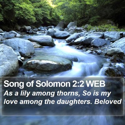 Song of Solomon 2:2 WEB Bible Verse Image