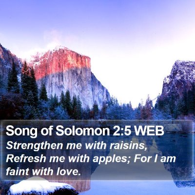 Song of Solomon 2:5 WEB Bible Verse Image