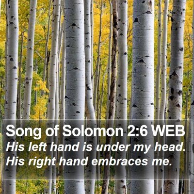 Song of Solomon 2:6 WEB Bible Verse Image