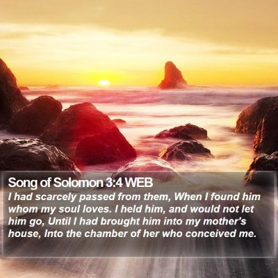 Song of Solomon 3:4 WEB Bible Verse Image