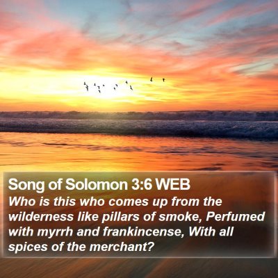 Song of Solomon 3:6 WEB Bible Verse Image