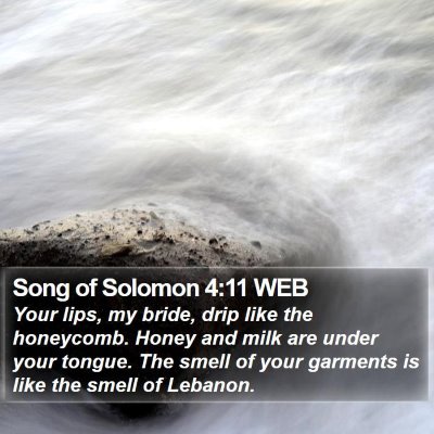 Song of Solomon 4:11 WEB Bible Verse Image