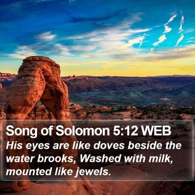 Song of Solomon 5:12 WEB Bible Verse Image