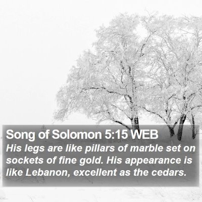 Song of Solomon 5:15 WEB Bible Verse Image