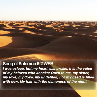 Song of Solomon 5:2 WEB Bible Verse Image