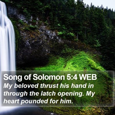 Song of Solomon 5:4 WEB Bible Verse Image