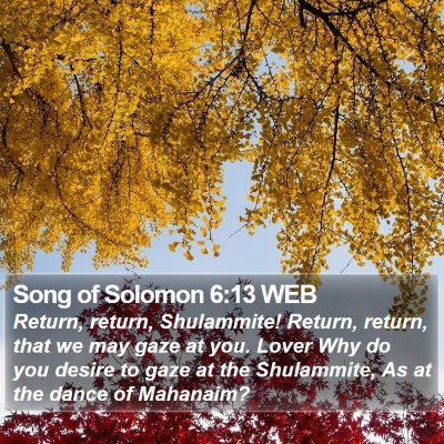 Song of Solomon 6:13 WEB Bible Verse Image