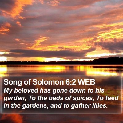 Song of Solomon 6:2 WEB Bible Verse Image