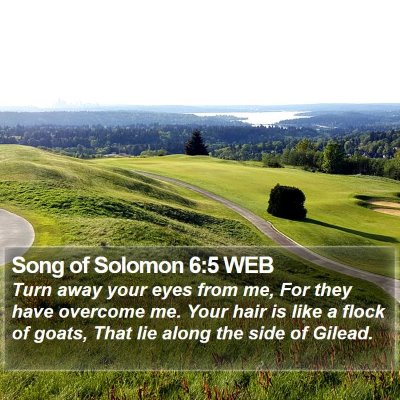 Song of Solomon 6:5 WEB Bible Verse Image