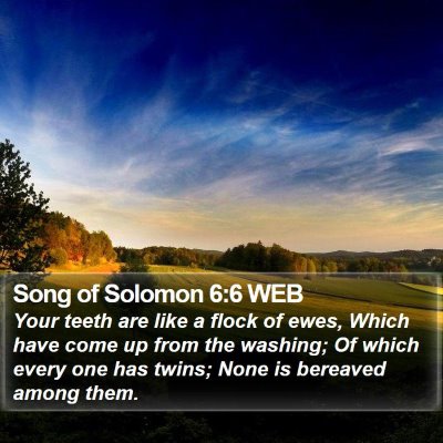 Song of Solomon 6:6 WEB Bible Verse Image