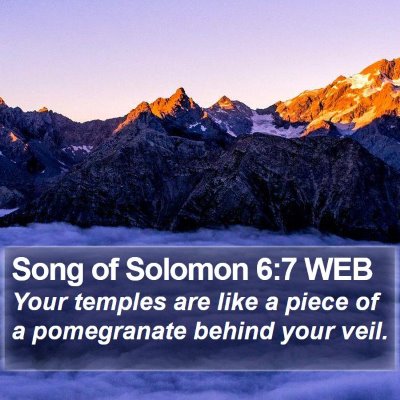 Song of Solomon 6:7 WEB Bible Verse Image