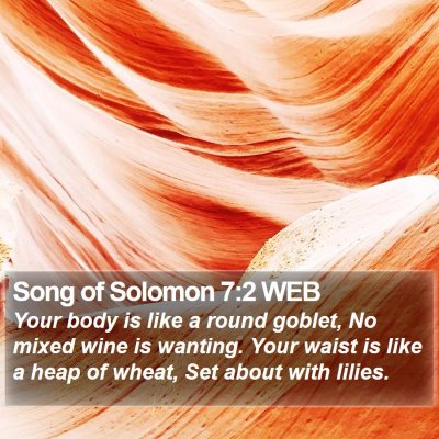 Song of Solomon 7:2 WEB Bible Verse Image