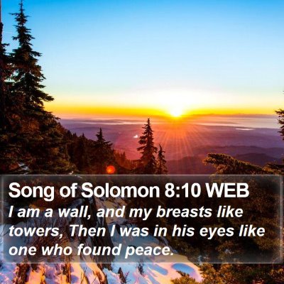 Song of Solomon 8:10 WEB Bible Verse Image