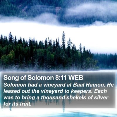 Song of Solomon 8:11 WEB Bible Verse Image