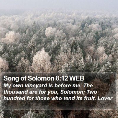 Song of Solomon 8:12 WEB Bible Verse Image