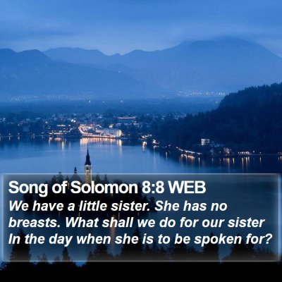 Song of Solomon 8:8 WEB Bible Verse Image