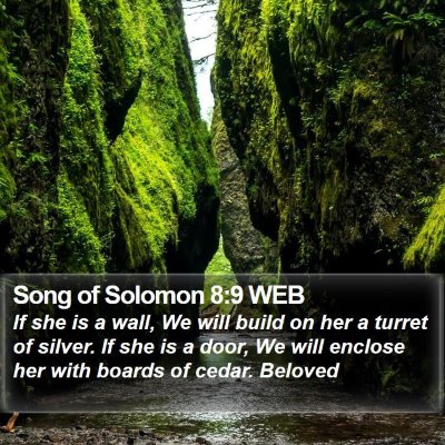 Song of Solomon 8:9 WEB Bible Verse Image
