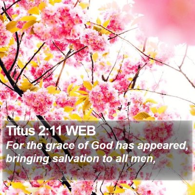 Titus 2:11 WEB Bible Verse Image
