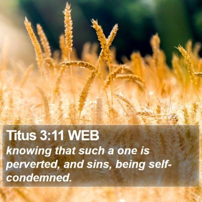 Titus 3:11 WEB Bible Verse Image