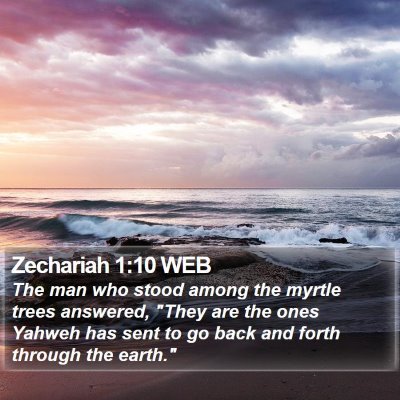 Zechariah 1:10 WEB Bible Verse Image