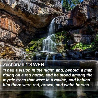 Zechariah 1:8 WEB Bible Verse Image