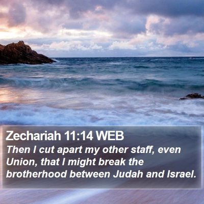 Zechariah 11:14 WEB Bible Verse Image