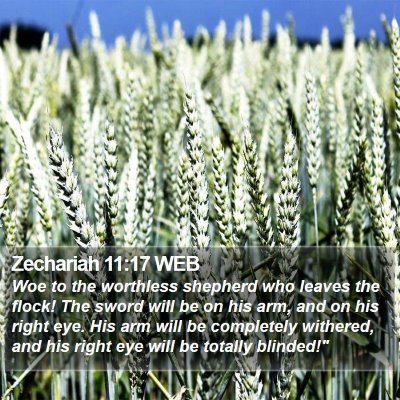 Zechariah 11:17 WEB Bible Verse Image