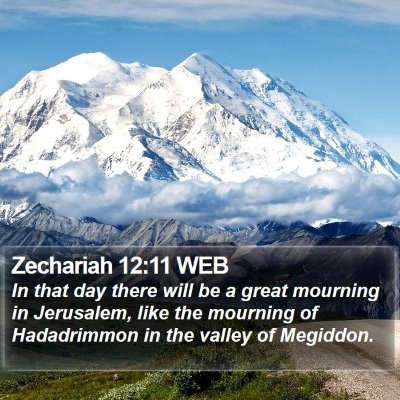 Zechariah 12:11 WEB Bible Verse Image