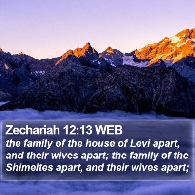 Zechariah 12:13 WEB Bible Verse Image