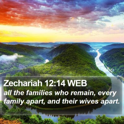 Zechariah 12:14 WEB Bible Verse Image
