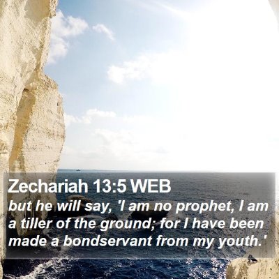 Zechariah 13:5 WEB Bible Verse Image