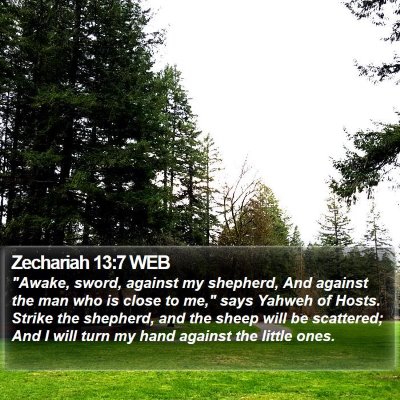 Zechariah 13:7 WEB Bible Verse Image