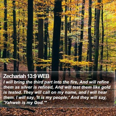 Zechariah 13:9 WEB Bible Verse Image