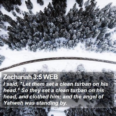 Zechariah 3:5 WEB Bible Verse Image