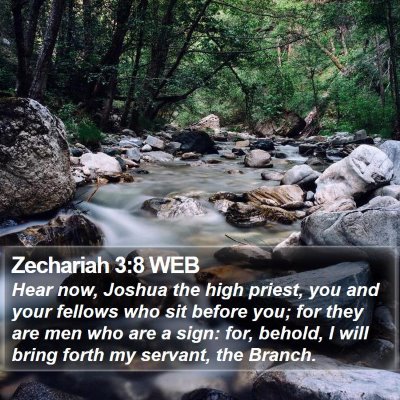 Zechariah 3:8 WEB Bible Verse Image