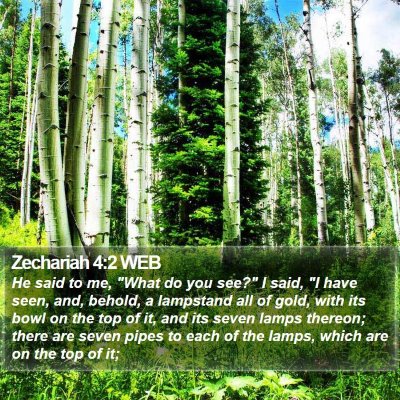 Zechariah 4:2 WEB Bible Verse Image