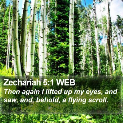 Zechariah 5:1 WEB Bible Verse Image