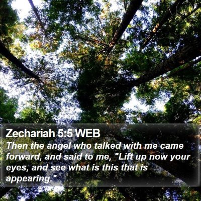 Zechariah 5:5 WEB Bible Verse Image