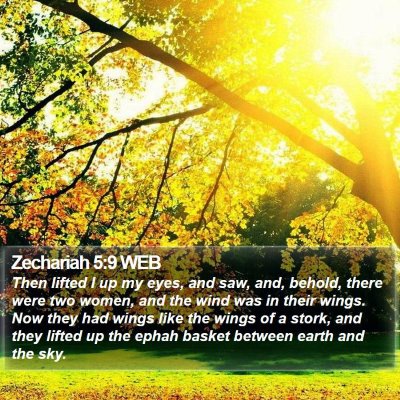 Zechariah 5:9 WEB Bible Verse Image