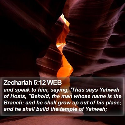 Zechariah 6:12 WEB Bible Verse Image