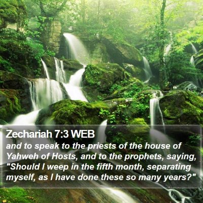 Zechariah 7:3 WEB Bible Verse Image
